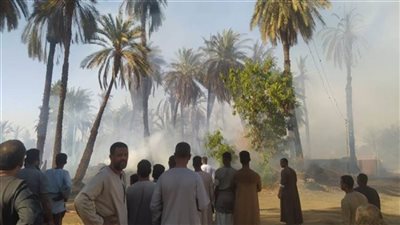 إصابة 5 أشخاص باختناقات في حريق نخيل بأسوان