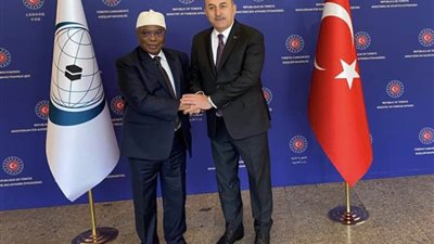 أمين عام منظمة التعاون الإسلامي يلتقي نائب وزير خارجية الجمهورية التركية في بانجول