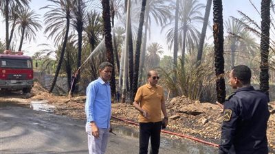 محافظ أسوان السيطرة على حريق إندلع فى أشجار النخيل بقرية الصعايدة بإدفو