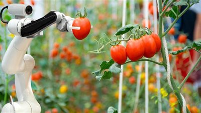 تكنولوجيا الروبوتات.. تغيير جذري لمستقبل الزراعة في العالم