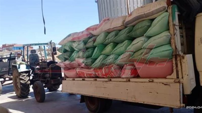 توريد القمح