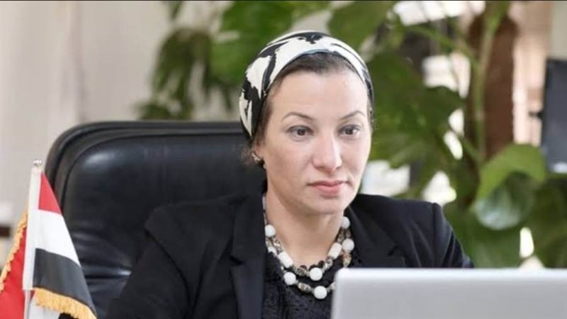 الدكتورة ياسمين فؤاد