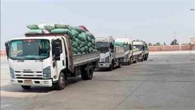 شون وصوامع المنيا تستقبل 113 ألف طن من محصول القمح