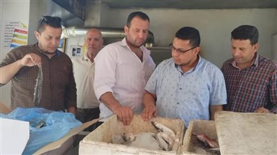 تحرير 31 محضرًا وضبط كمية من اللحوم والدواجن والأسماك فاسدة  