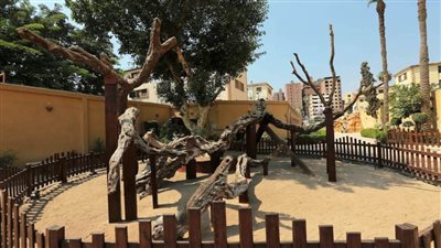 أديرة وادي النطرون.. نقطة مهمة في مسار العائلة المقدسة بمصر