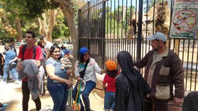 حدائق الحيوان والطيور والأسماك تستعد لاستقبال المواطنين بشم النسيم والإجازات والعطلات الرسمية