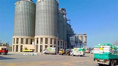 توريد ما يزيد على ١٩١٩٢ طن قمح بالإسكندرية 