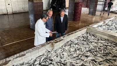 التحفظ على ٥٠٠ كيلو أسماك مدخنة دون بيانات في الغربية