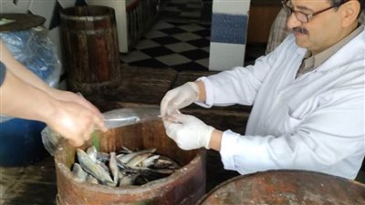  قبيل شم النسيم.. محافظ الغربية يكشف نتائج الحملات على أسواق الفسيخ والرنجة