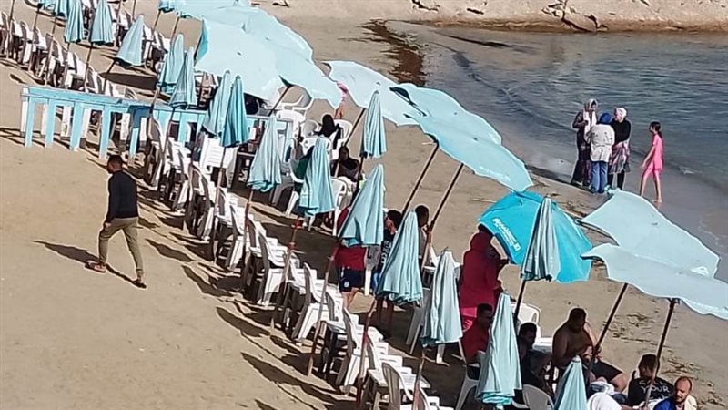 شواطيء الإسكندرية