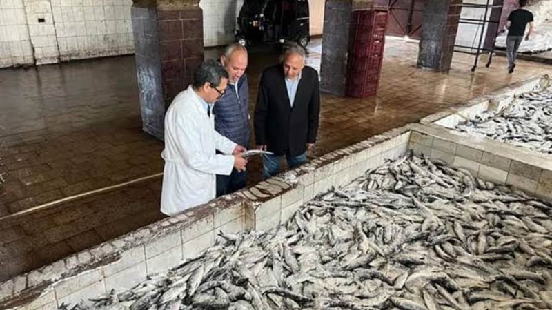 جانب من الحملة