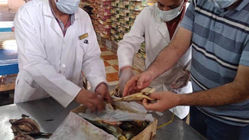 حملات سابقة للطب