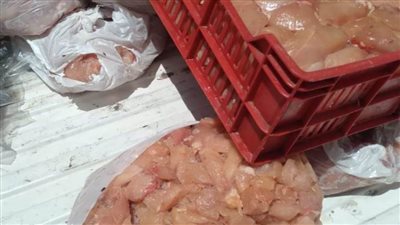 بيطري المنيا.. ضبط لحوم وأسماك غير صالحة ببني مزار ومطاي خلال حملات رقابية 