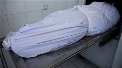 مصرع شخصين وإصابة 3 في حادث تصادم في الوادي الجديد