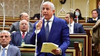 رئيس خارجية النواب: التمهيد لاجتياح رفح الفلسطينية أكبر جريمة إبادة في التاريخ المعاصر