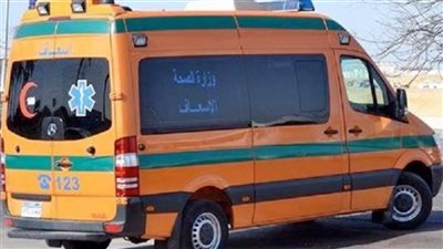 إصابة ربة منزل وطفلتيها في انقلاب تروسيكل بالوادي الجديد