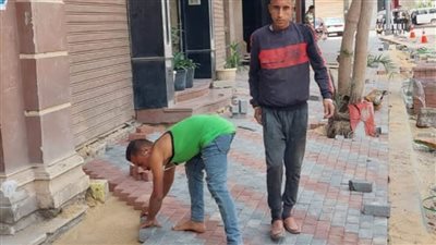 محافظ الغربية يتابع رصف شارع 