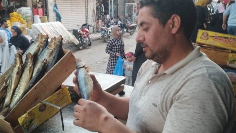 جانب من الحملات