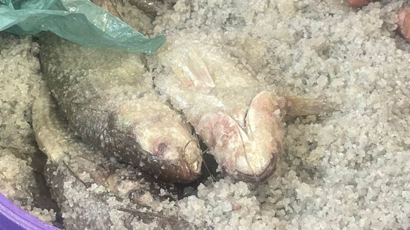 جانب من المضبوطات