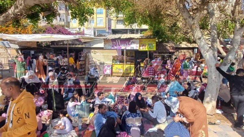 مواطني كفرالشيخ