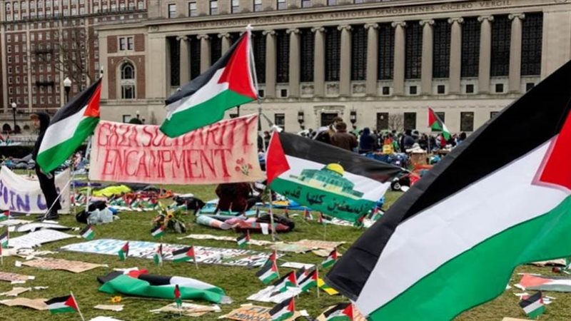 مظاهرات طلاب جامعة