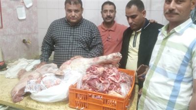 تحرير 124 محضرا وضبط 134781 كيلو لحوم ومجمدات ودواجن وأسماك غير صالحة للإستهلاك الآدمي 