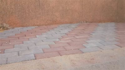  بالصور.. محافظ الغربية يتابع رصف شارع النحاس في طنطا