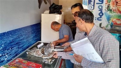 بيطري المنيا يضبط نصف طن أسماك مملحة ولحوم ودواجن فاسدة