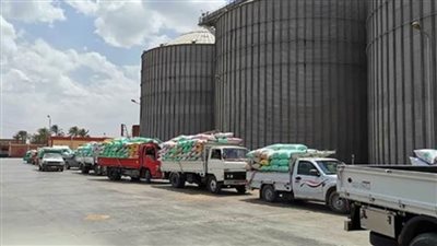 توريد ما يزيد على 34455 طنًا من القمح بالإسكندرية 