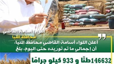 شون وصوامع المنيا تستقبل 146 ألف طن من محصول القمح