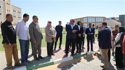 بدء توصيل التيار الكهربائي للعاصمة الإدارية في الوادي الجديد