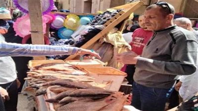 تموين المنيا.. ضبط 167 مخالفة متنوعة في حملات على المخابز البلدية والأسواق