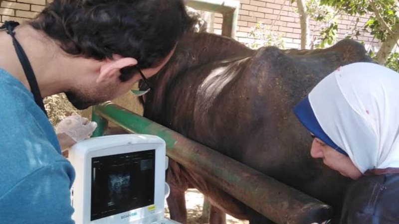 جانب من فعاليات القافلة