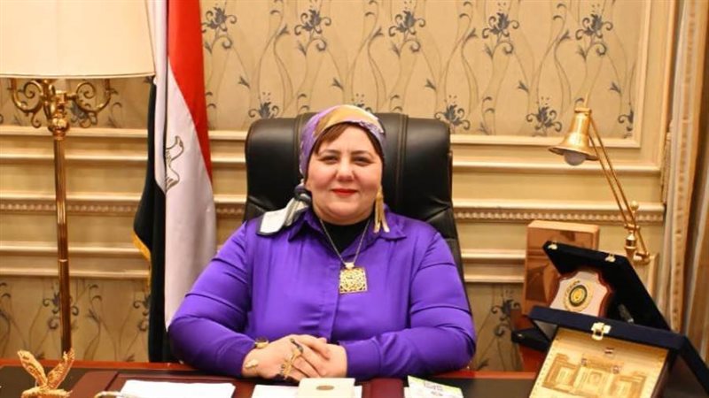النائبة منال نصر