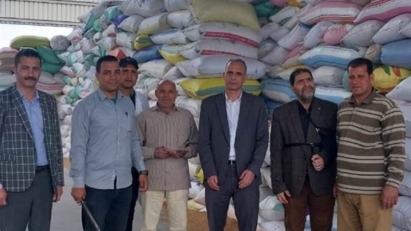 لجان فرز الاقماح