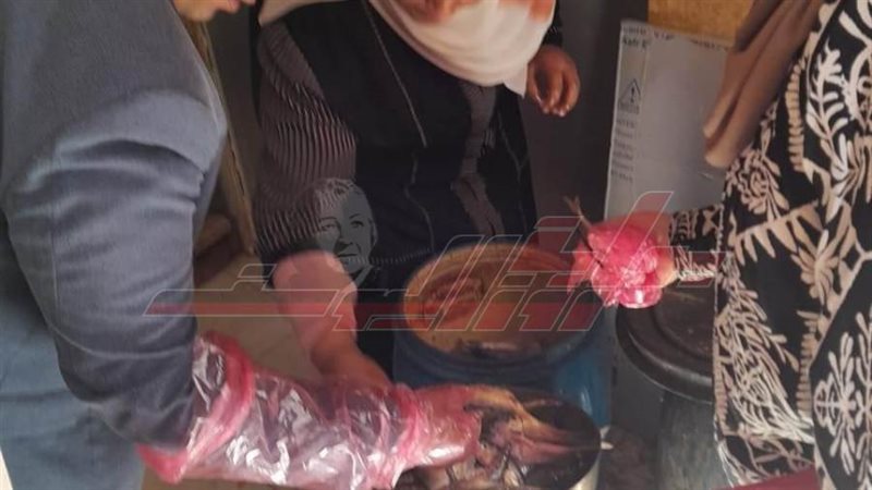 الأسماك المضبوطة