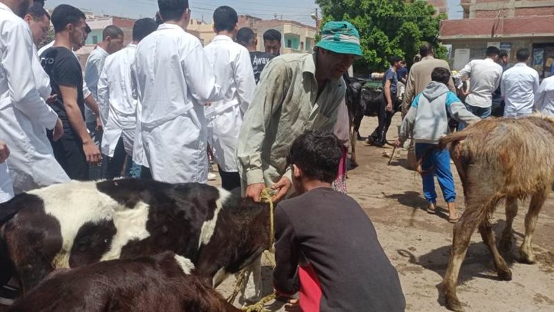 قوافل لتحصين الثروة