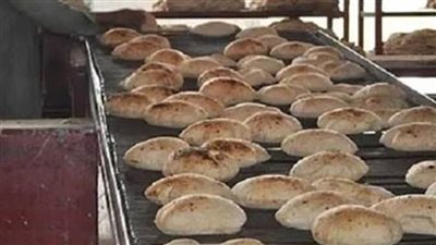 ضبط 24 طن دقيق في حملات تموينية خلال 24 ساعة