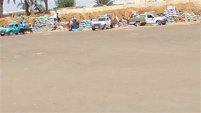 توريد القمح وإزالة التعديات ورفع الإشغالات وتحسين مستوى الخدمات ببني سويف