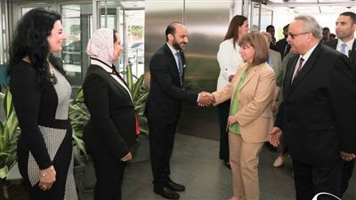 تموين الإسكندرية: 