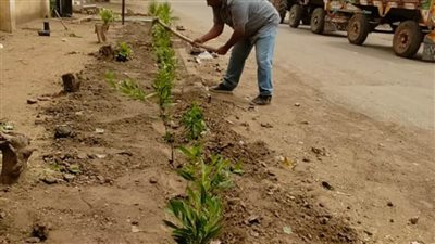 محافظ الغربية يتابع زراعة أشجار مثمرة وأخرى للزينة في المراكز