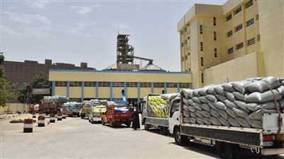 توريد 94 ألف طن قمح للشون والصوامع منذ بدء موسم التوريد بأسيوط 