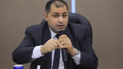 الجيل: قرار الأمم المتحدة بالعضوية الكاملة لفلسطين ثمرة جهود مصرية غير مسبوقة