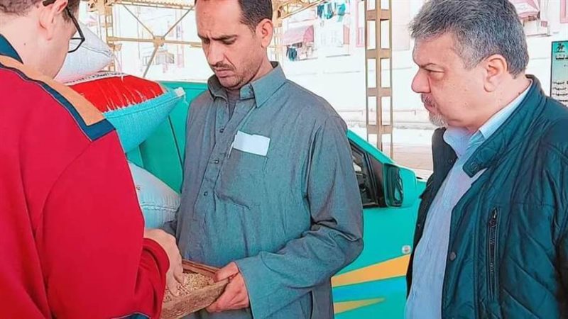 وكيل تموين بورسعيد