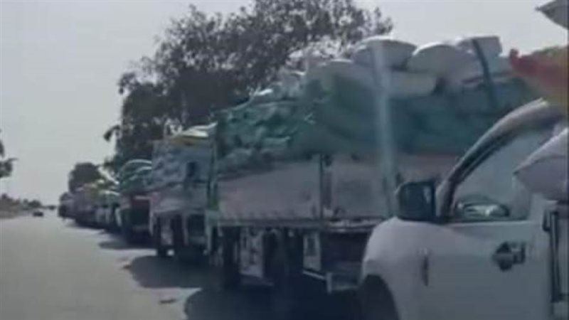 توريد القمح