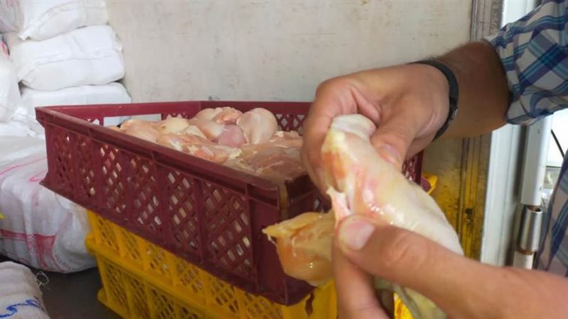 حملات الطب البيطرى