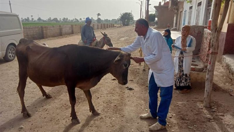 تحصين الثروة الحيوانية