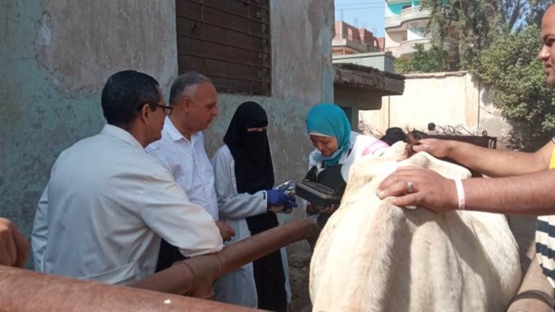 جانب من القافلة