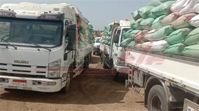 صوامع كفر الشيخ تستقبل 170033 طنًا و122 كيلو قمح محلي
