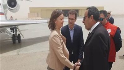 محافظ شمال سيناء يبحث مع وزيرة الشؤون الخارجية بسلوفينيا جهود إدخال المساعدات لغزة